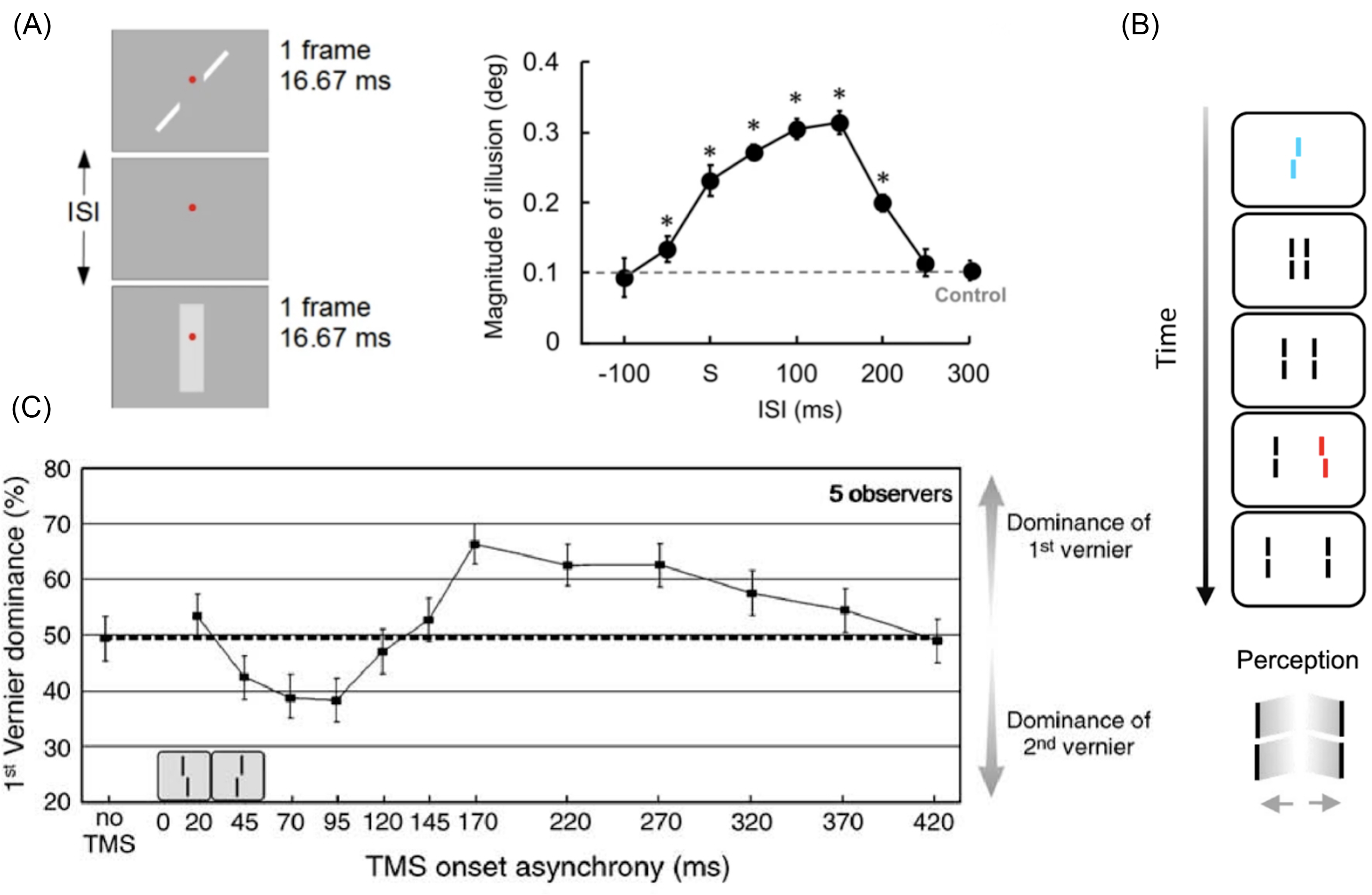 (A) Experimental setup and graph of illusion magnitude vs. ISI; (B) Diagram of time sequence and perceptual dominance; (C) Graph of dominance percentage vs. TMS onset asynchrony.