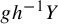 g h Superscript negative 1 Baseline upper Y