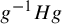 g Superscript negative 1 Baseline upper H g