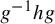 g Superscript negative 1 Baseline h g