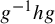 g Superscript negative 1 Baseline h g