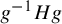 g Superscript negative 1 Baseline upper H g