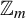 double struck upper Z Subscript m