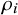 rho Subscript i