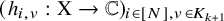 left parenthesis h Subscript i comma v Baseline colon normal upper X right arrow double struck upper C right parenthesis Subscript i element of left bracket upper N right bracket comma v element of upper K Sub Subscript k plus 1 Subscript