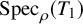 upper S p e c Subscript rho Baseline left parenthesis upper T 1 right parenthesis