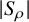 StartAbsoluteValue upper S Subscript rho Baseline EndAbsoluteValue