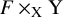 upper F times Subscript normal upper X Baseline normal upper Y
