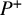 upper P Superscript plus