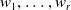 w 1 comma ellipsis comma w Subscript r Baseline