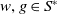w comma g element of upper S Superscript asterisk
