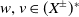 w comma v element of left parenthesis upper X Superscript plus or minus Baseline right parenthesis Superscript asterisk