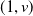left parenthesis 1 comma v right parenthesis