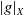 StartAbsoluteValue g EndAbsoluteValue Subscript upper X