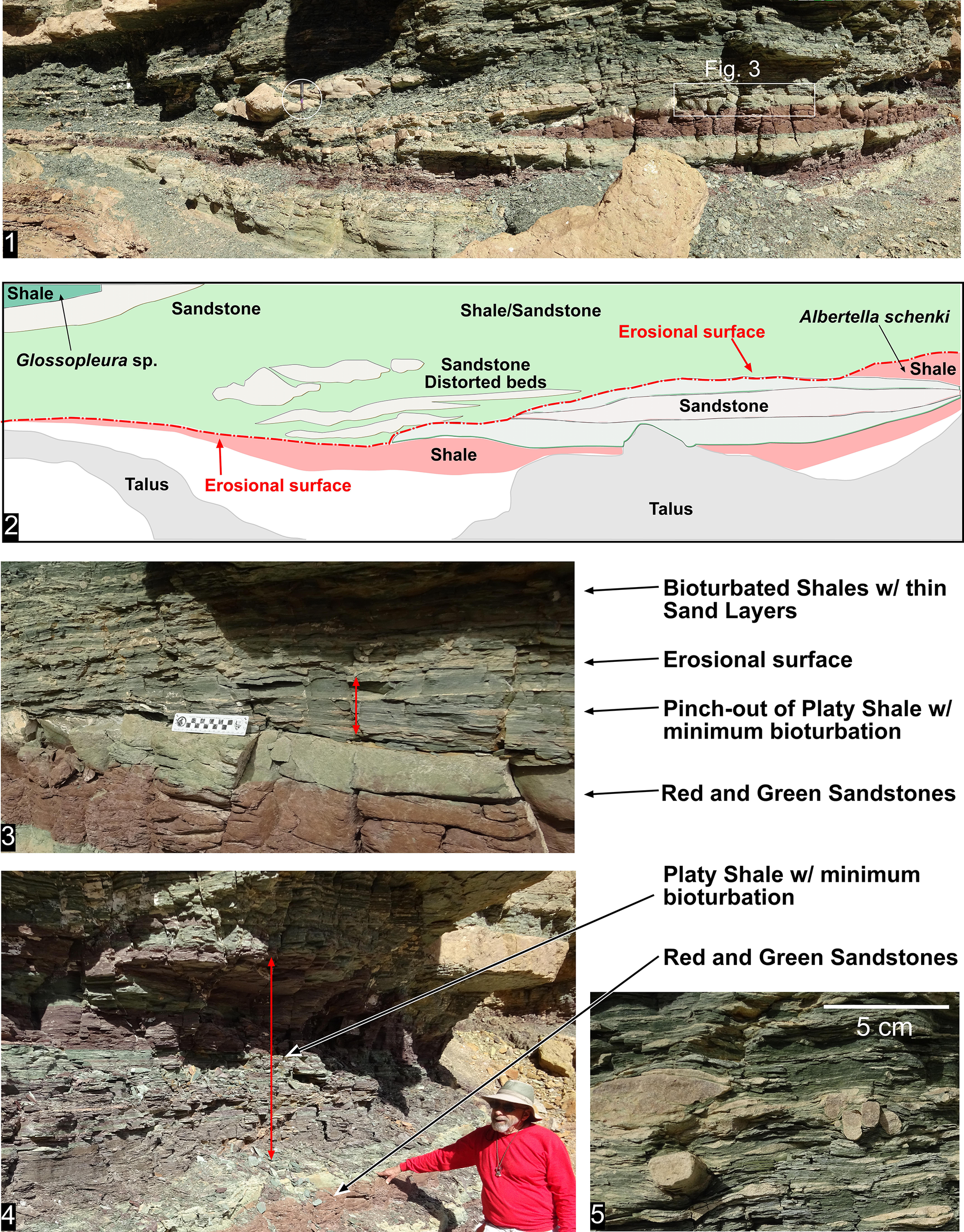 Figure 13