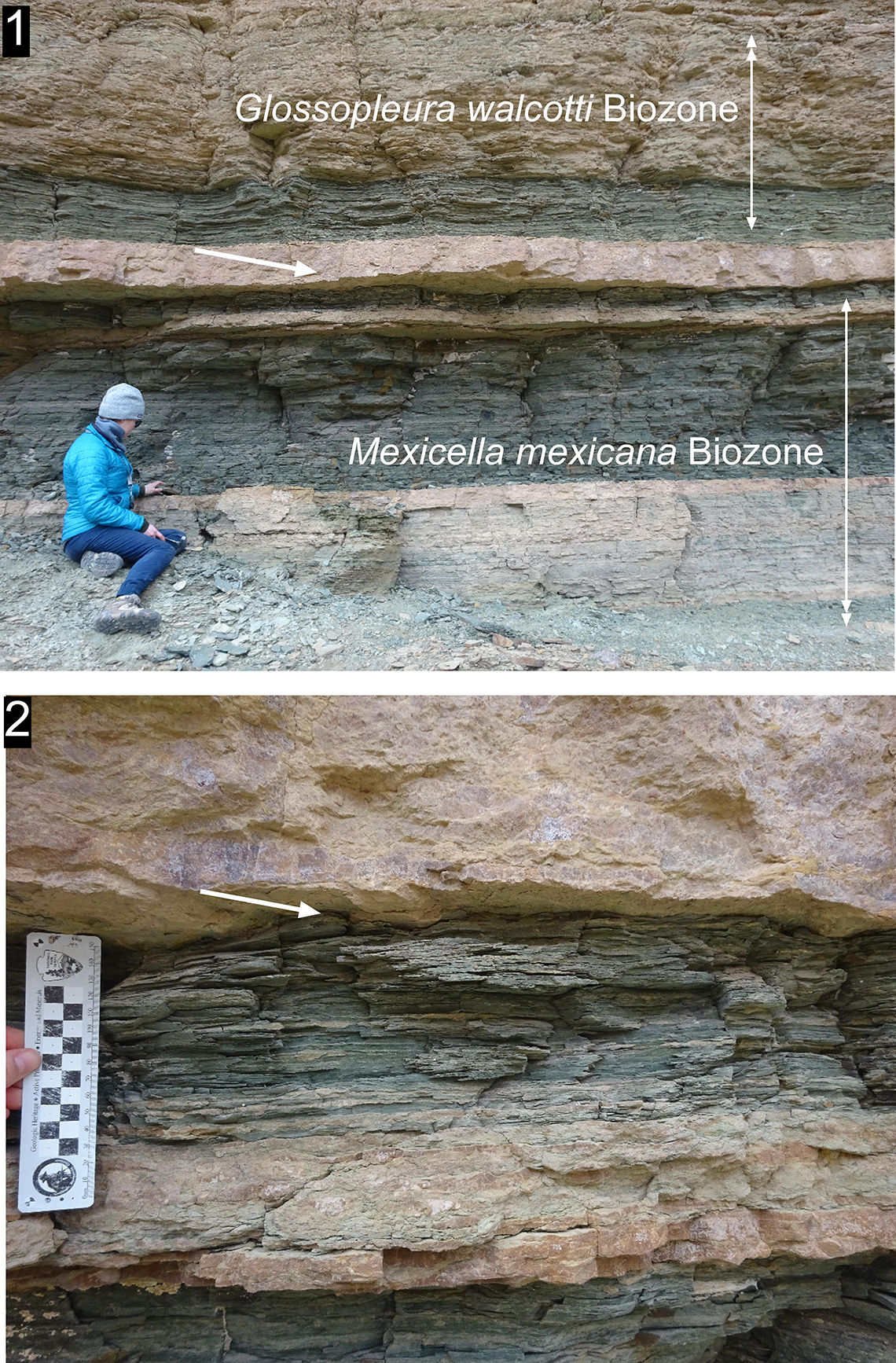 Figure 14