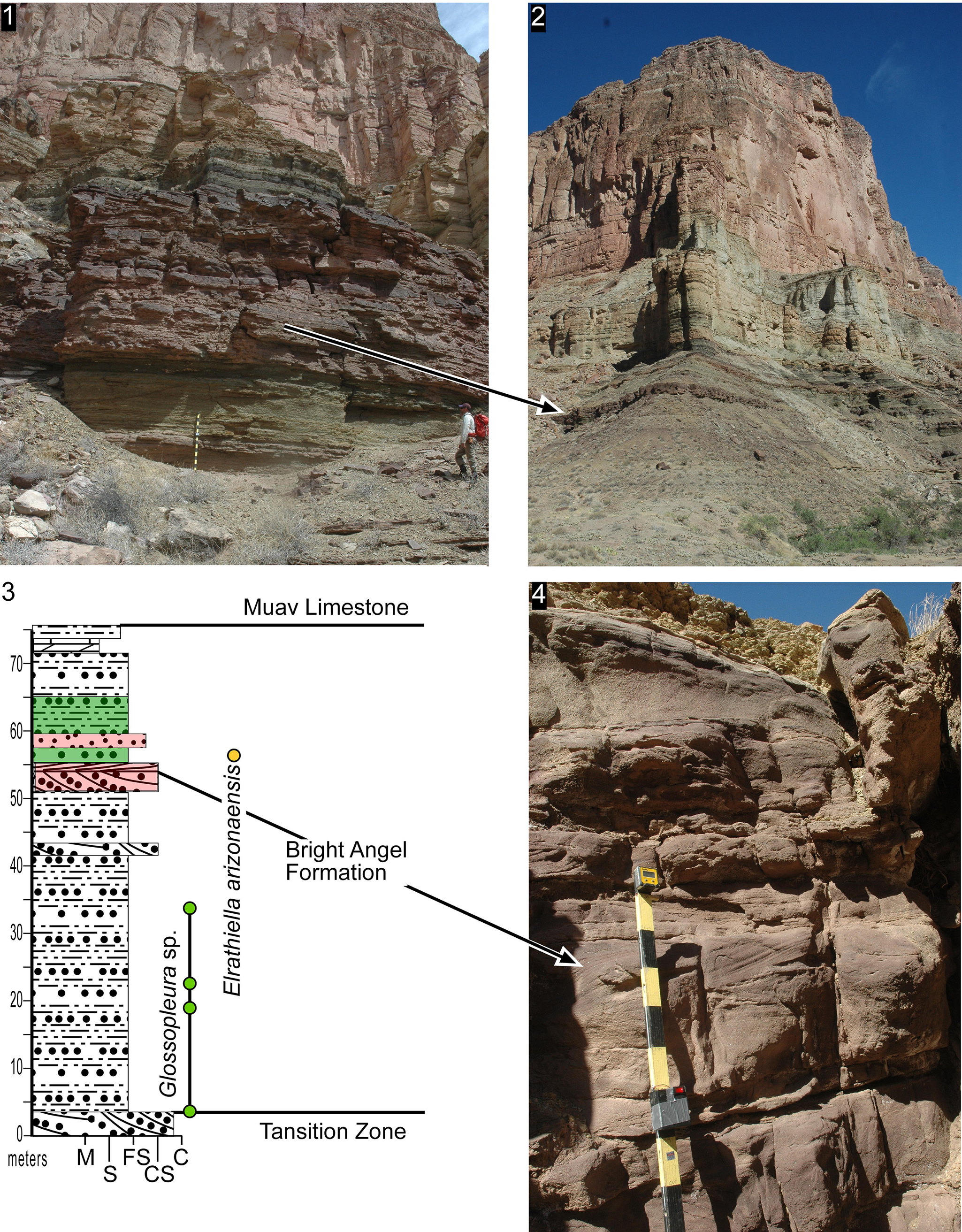 Figure 15