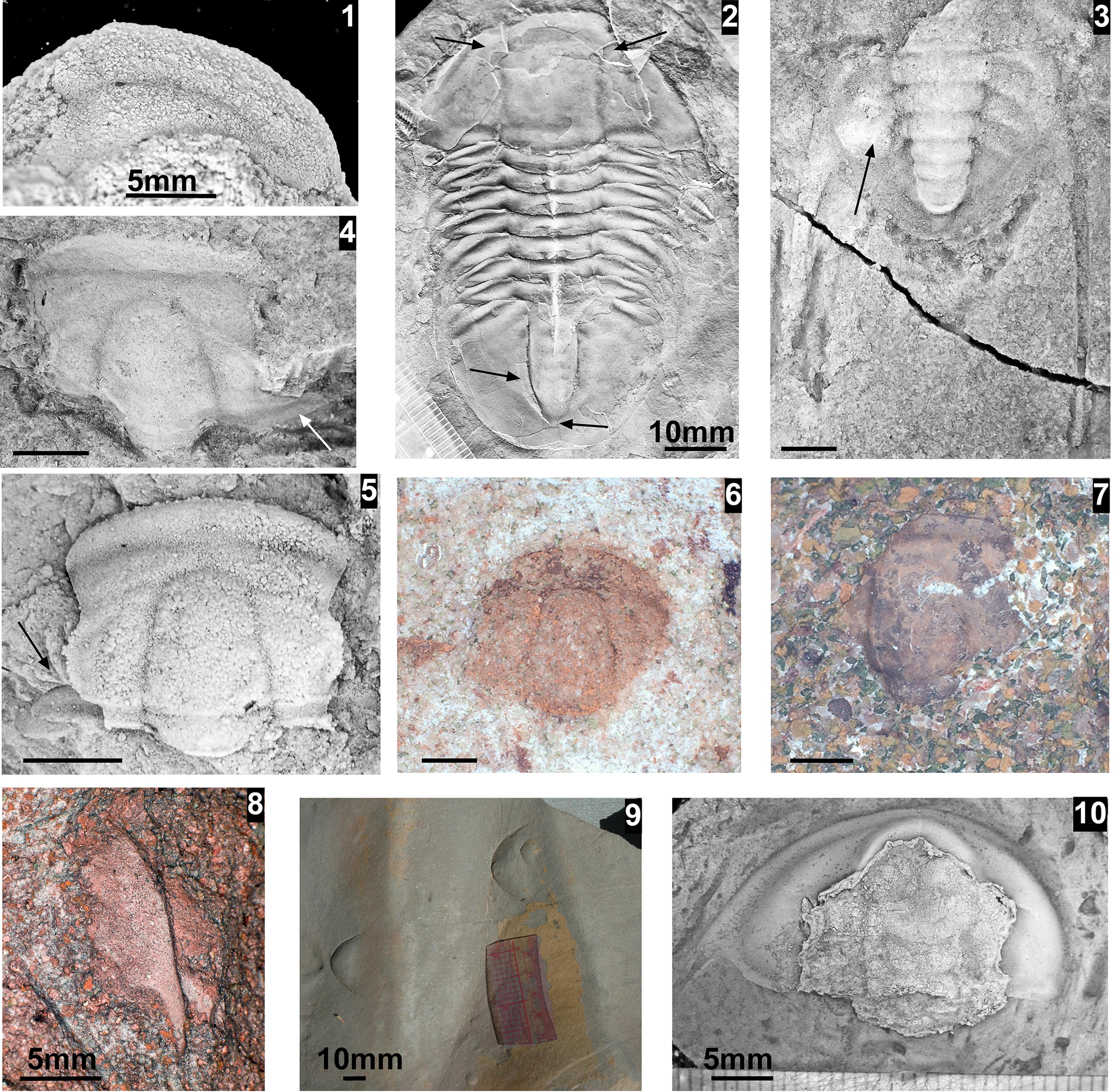 Figure 16