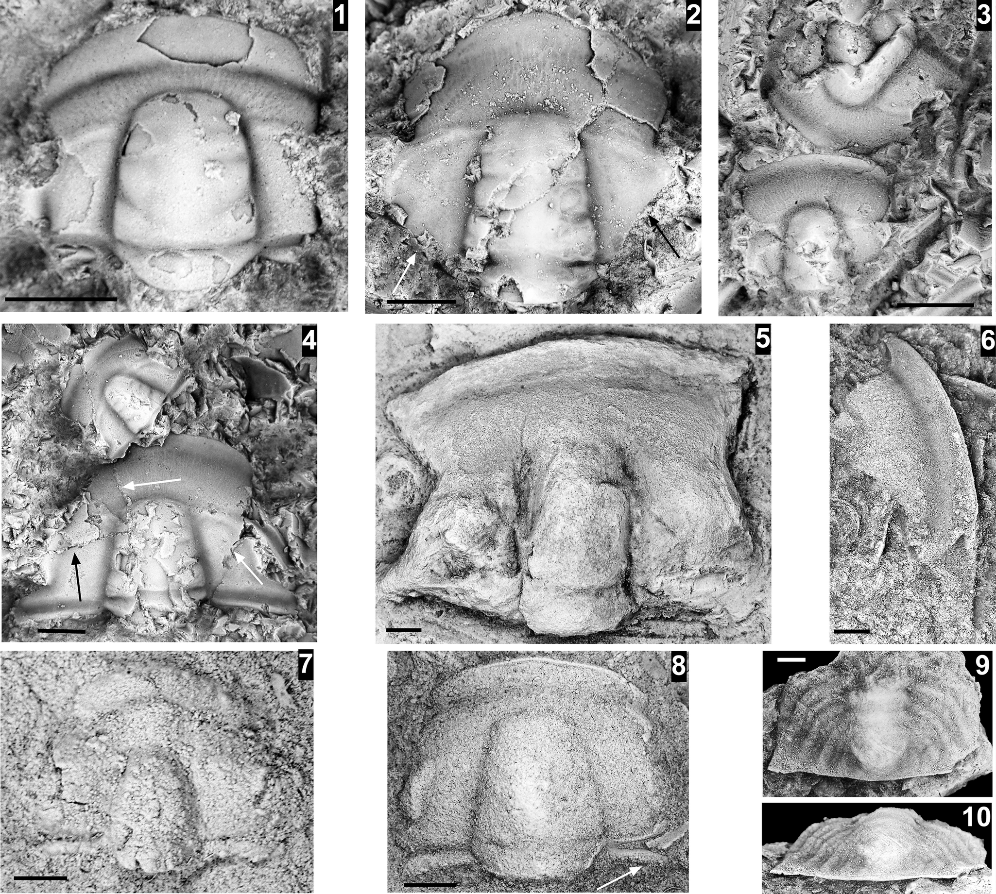 Figure 18