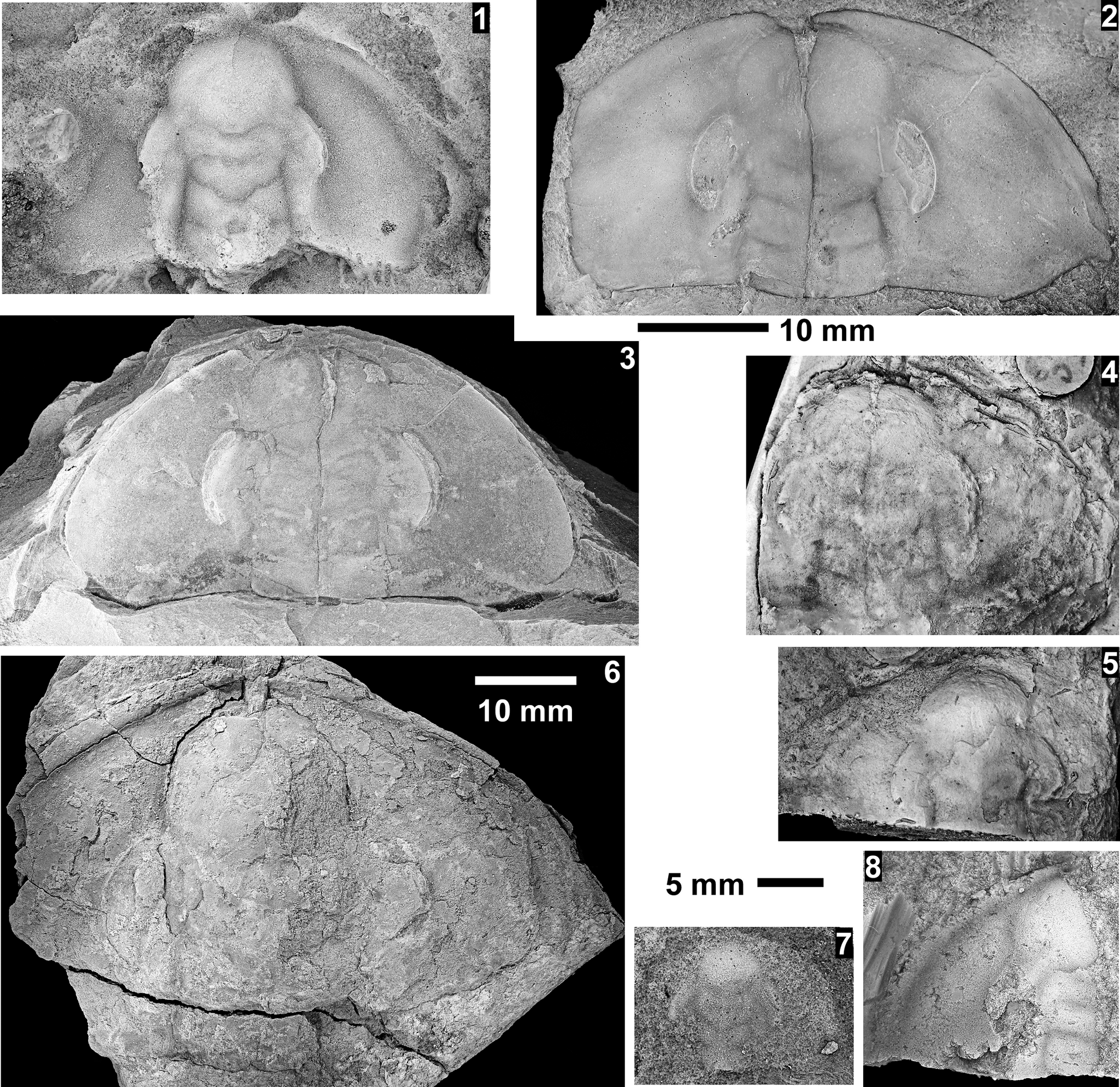 Figure 21