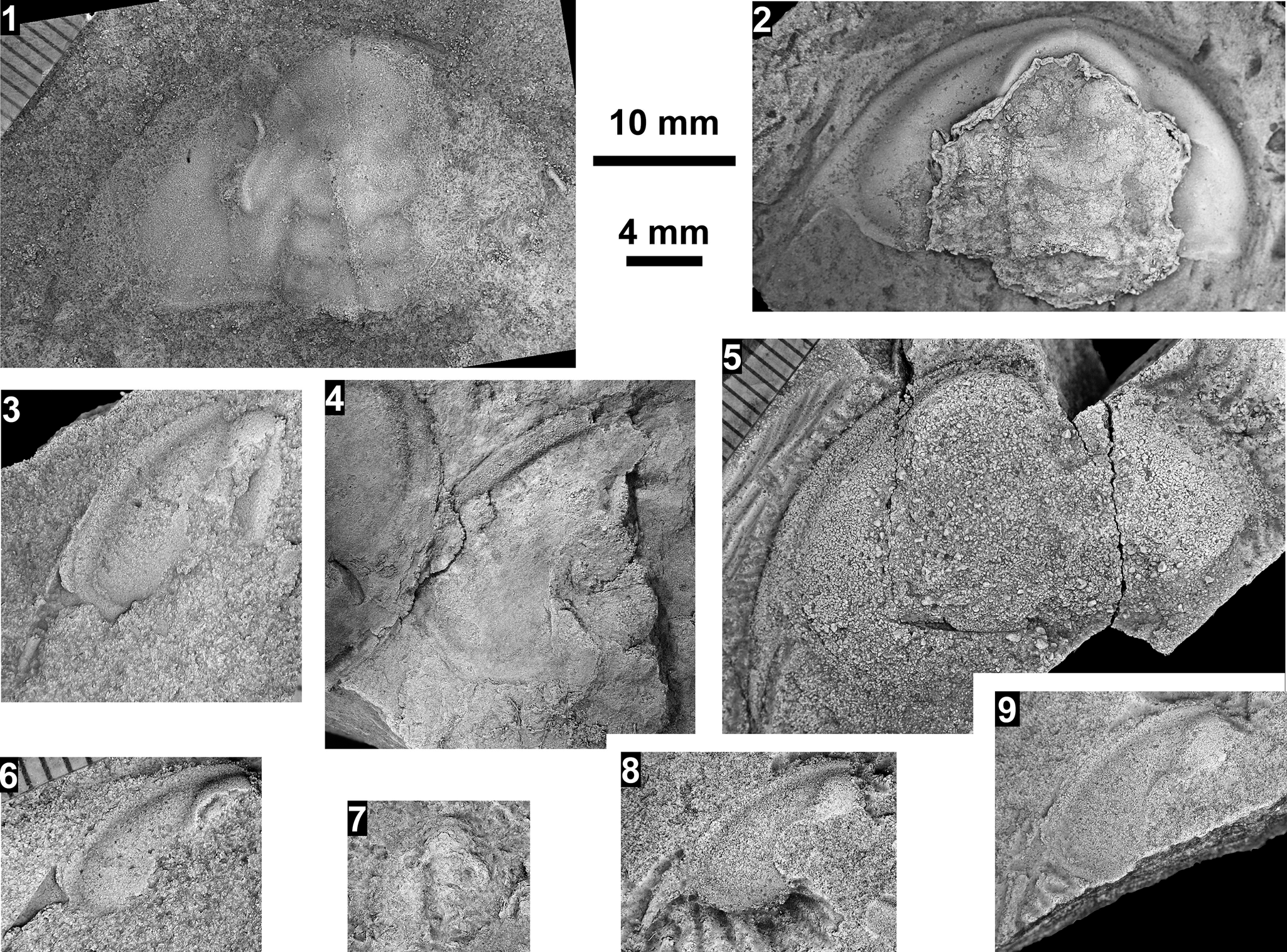 Figure 22