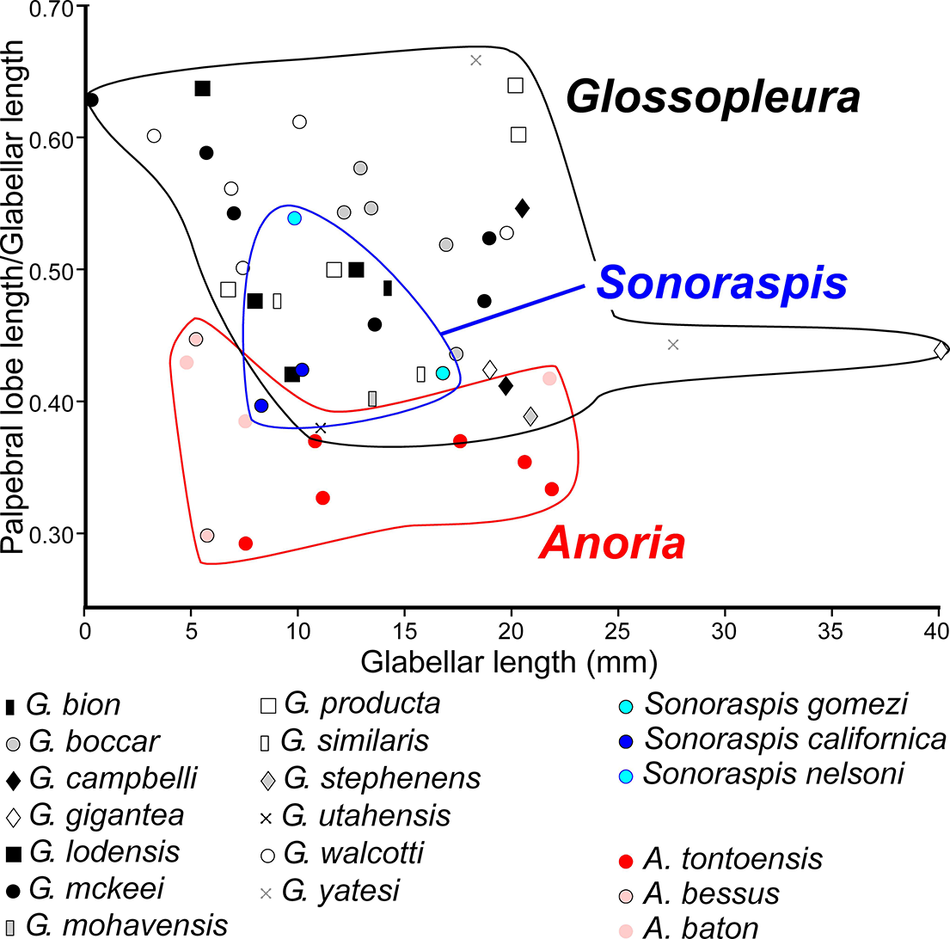 Figure 23