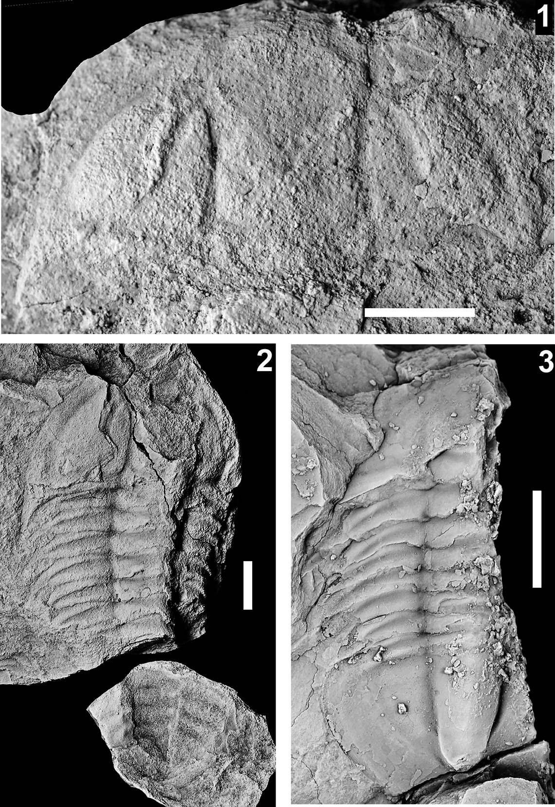 Figure 26