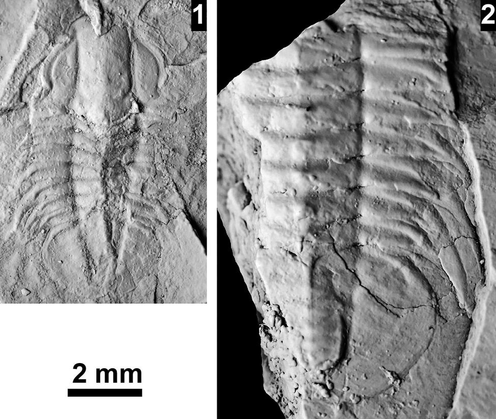 Figure 27