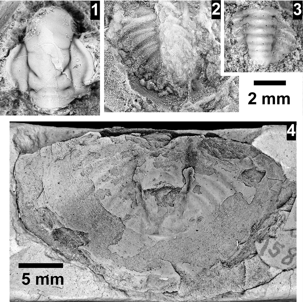 Figure 28