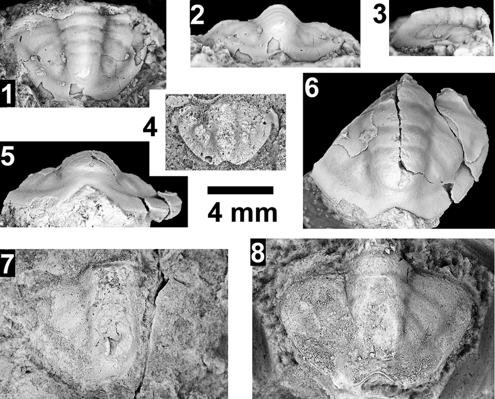 Figure 34