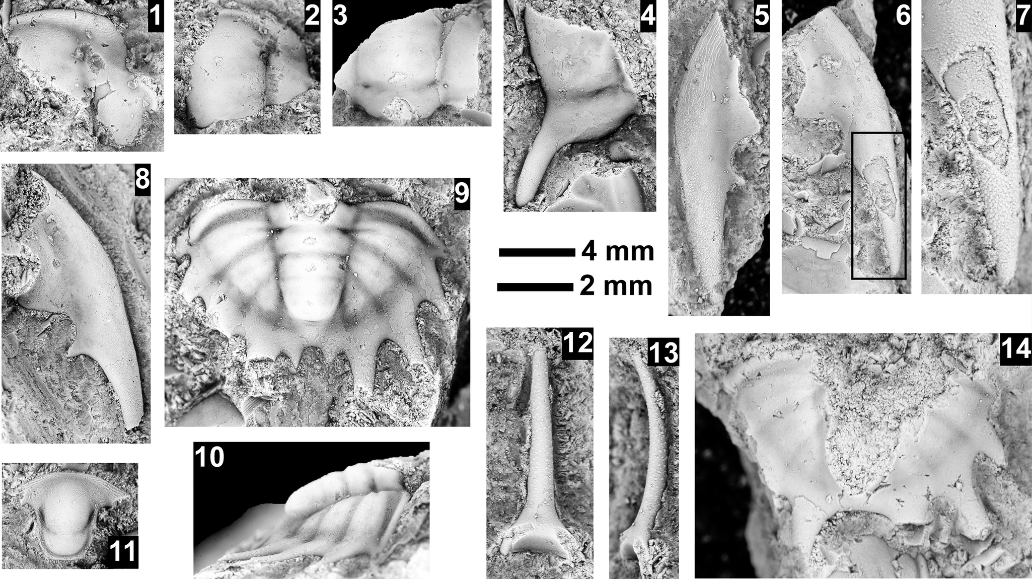 Figure 35