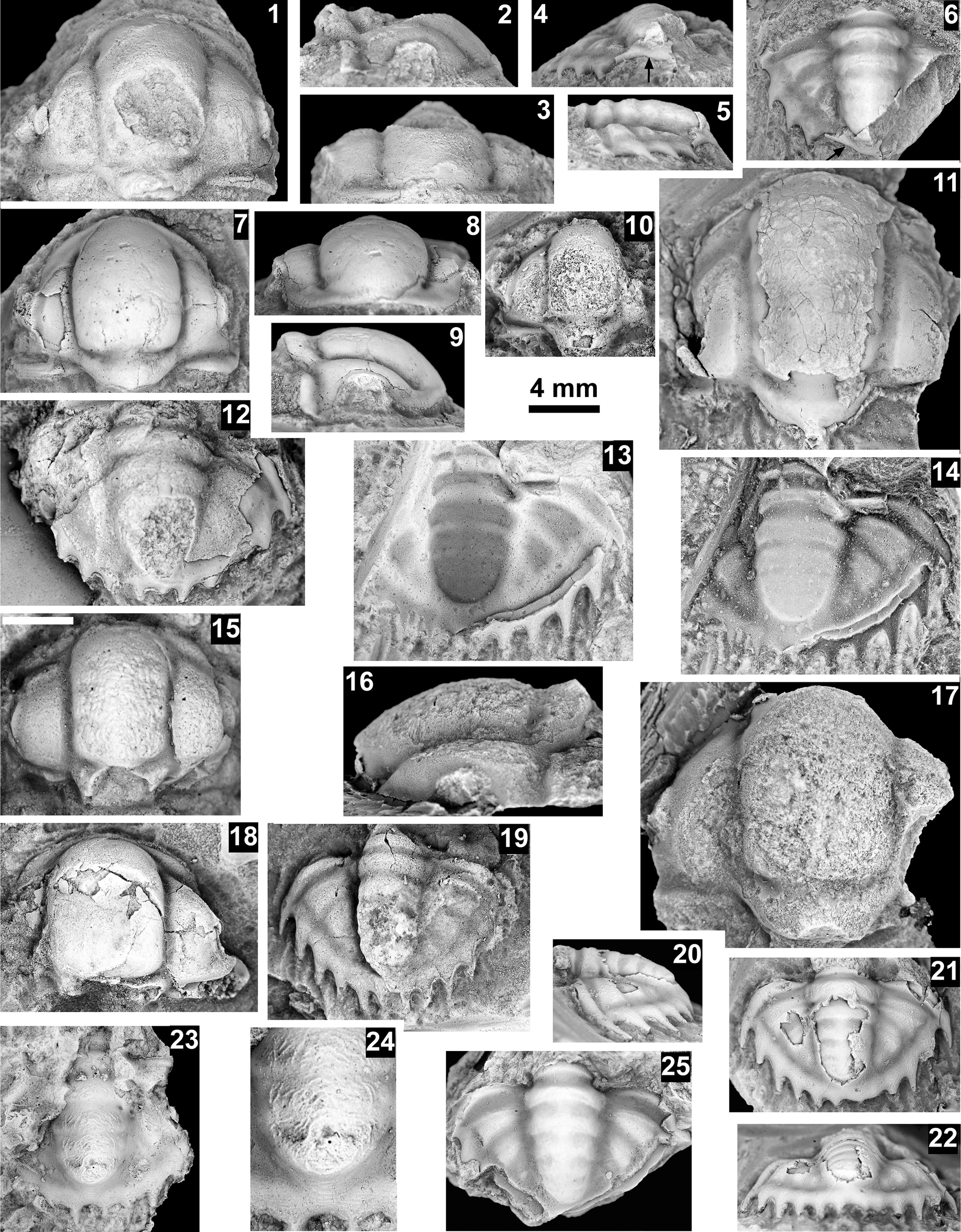 Figure 39