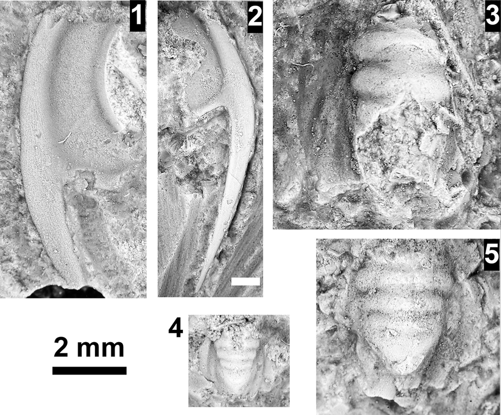Figure 40