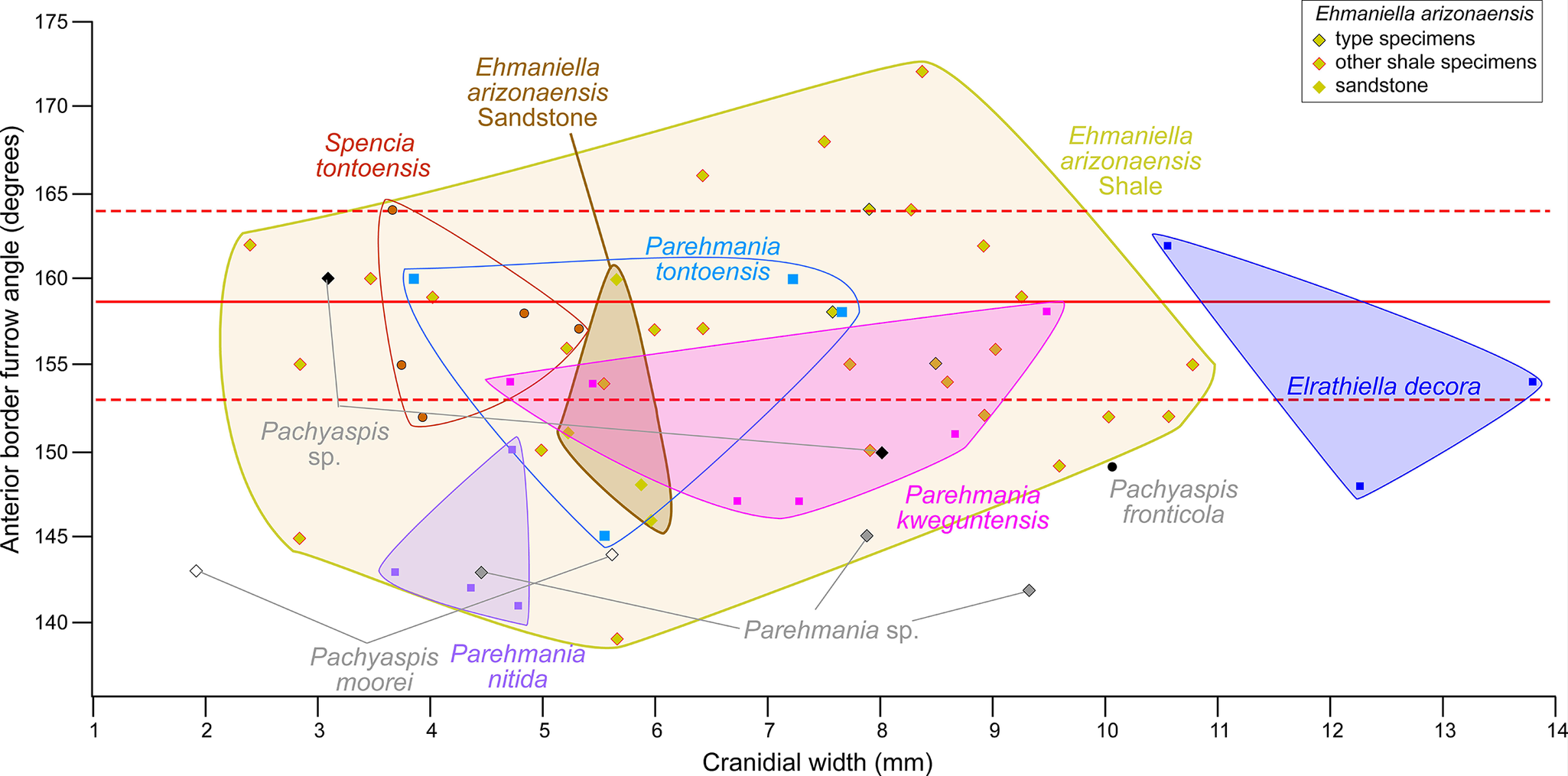 Figure 51