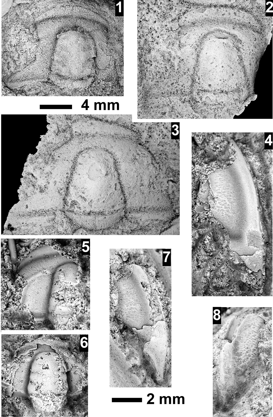 Figure 56