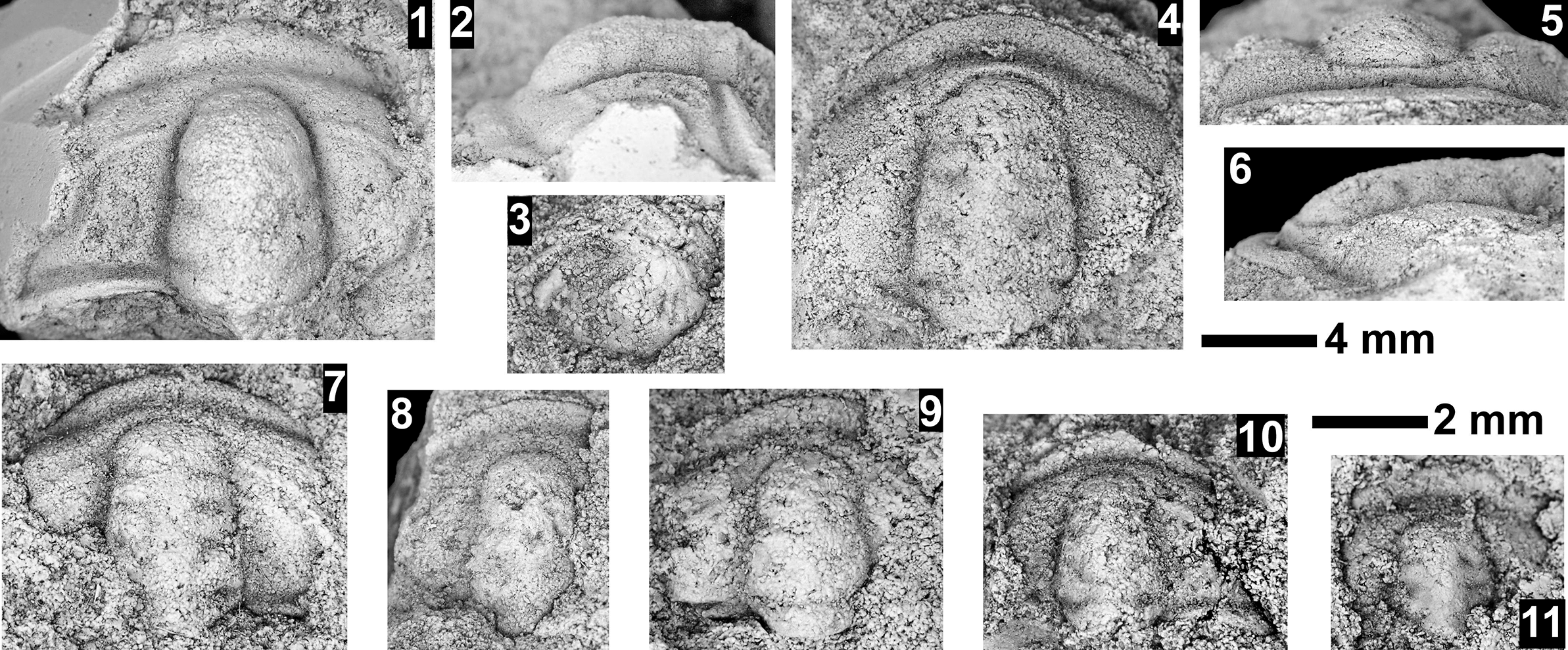 Figure 57