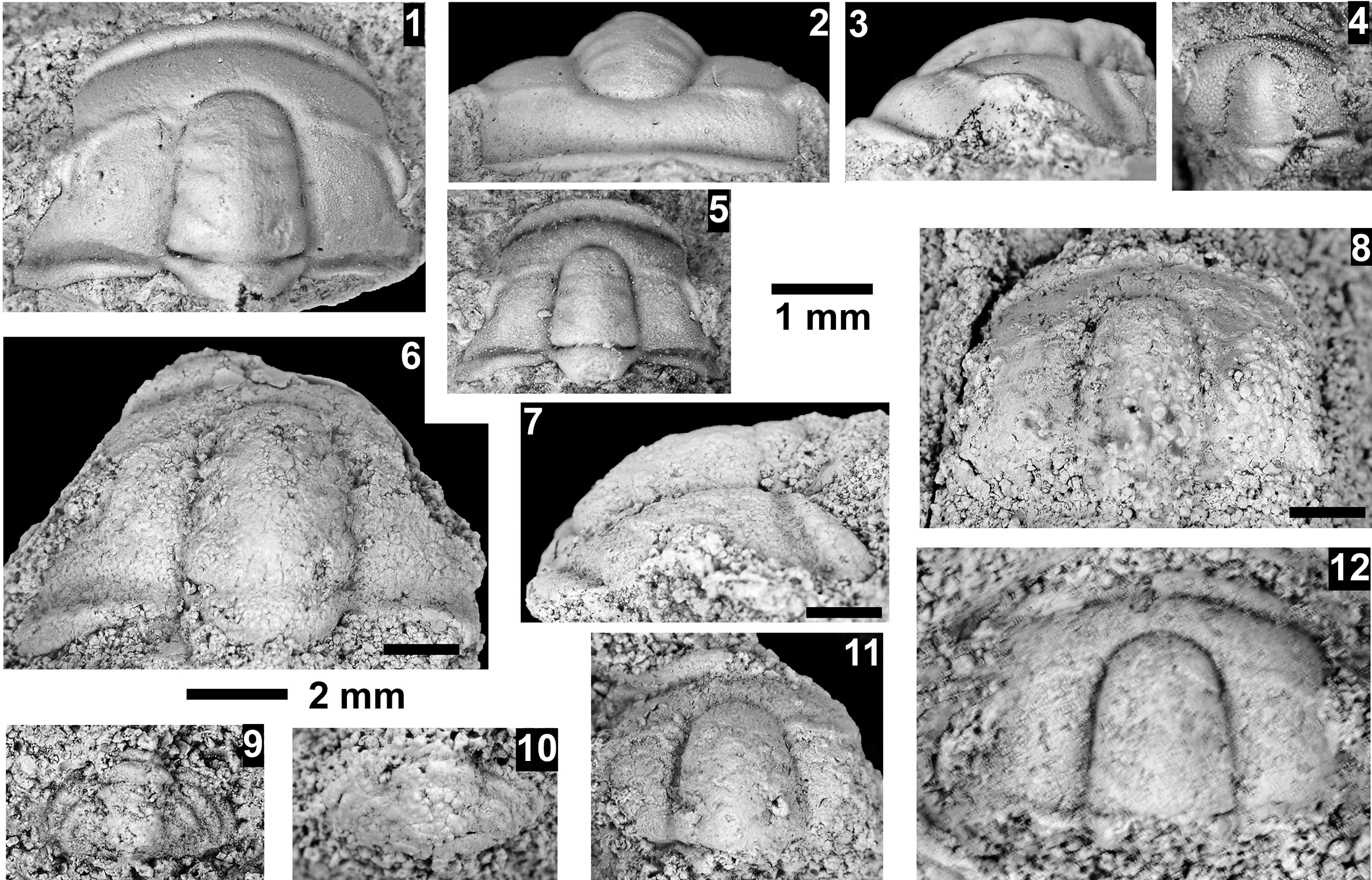 Figure 60