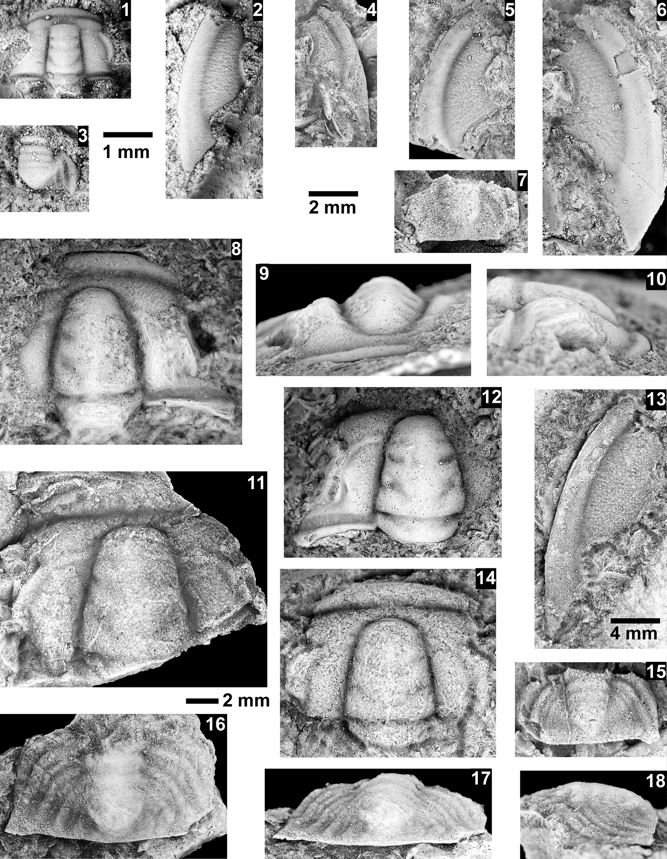 Figure 68