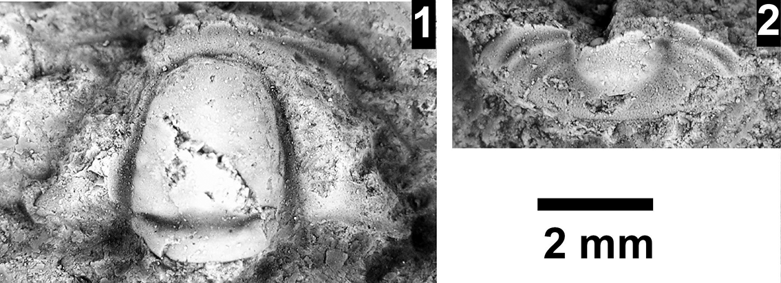 Figure 69