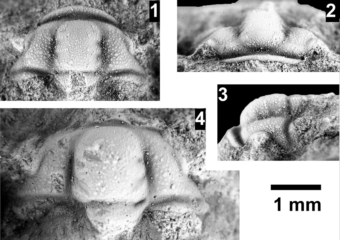 Figure 70