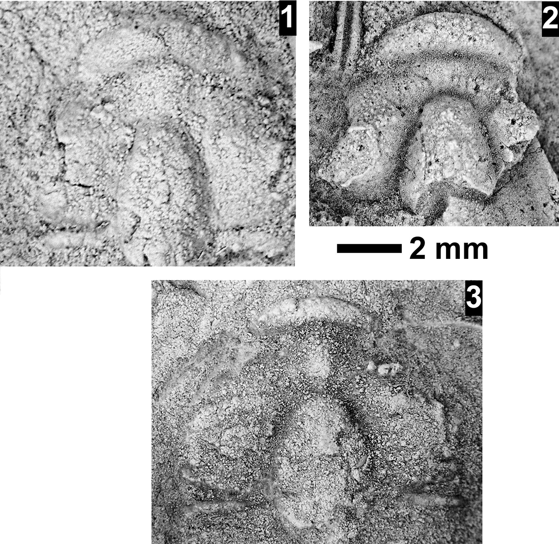 Figure 71