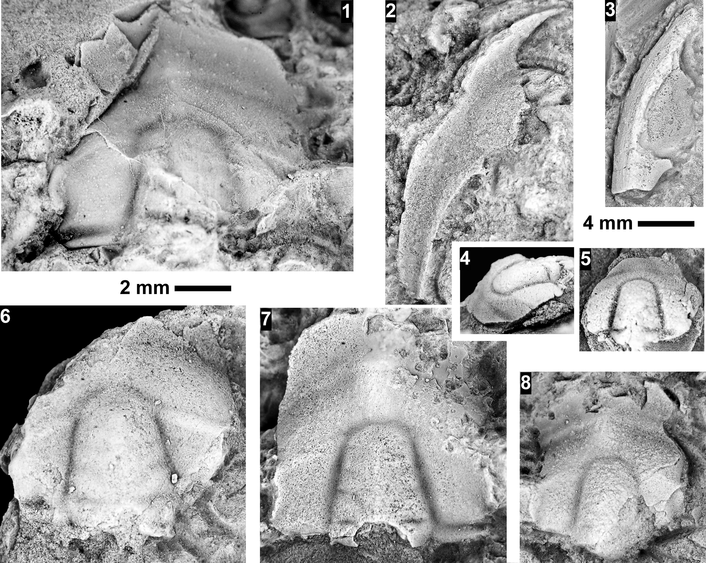 Figure 75