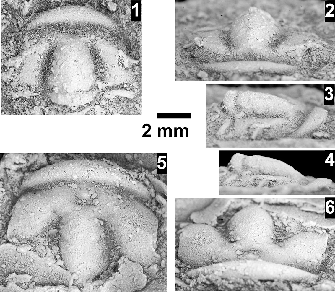 Figure 76