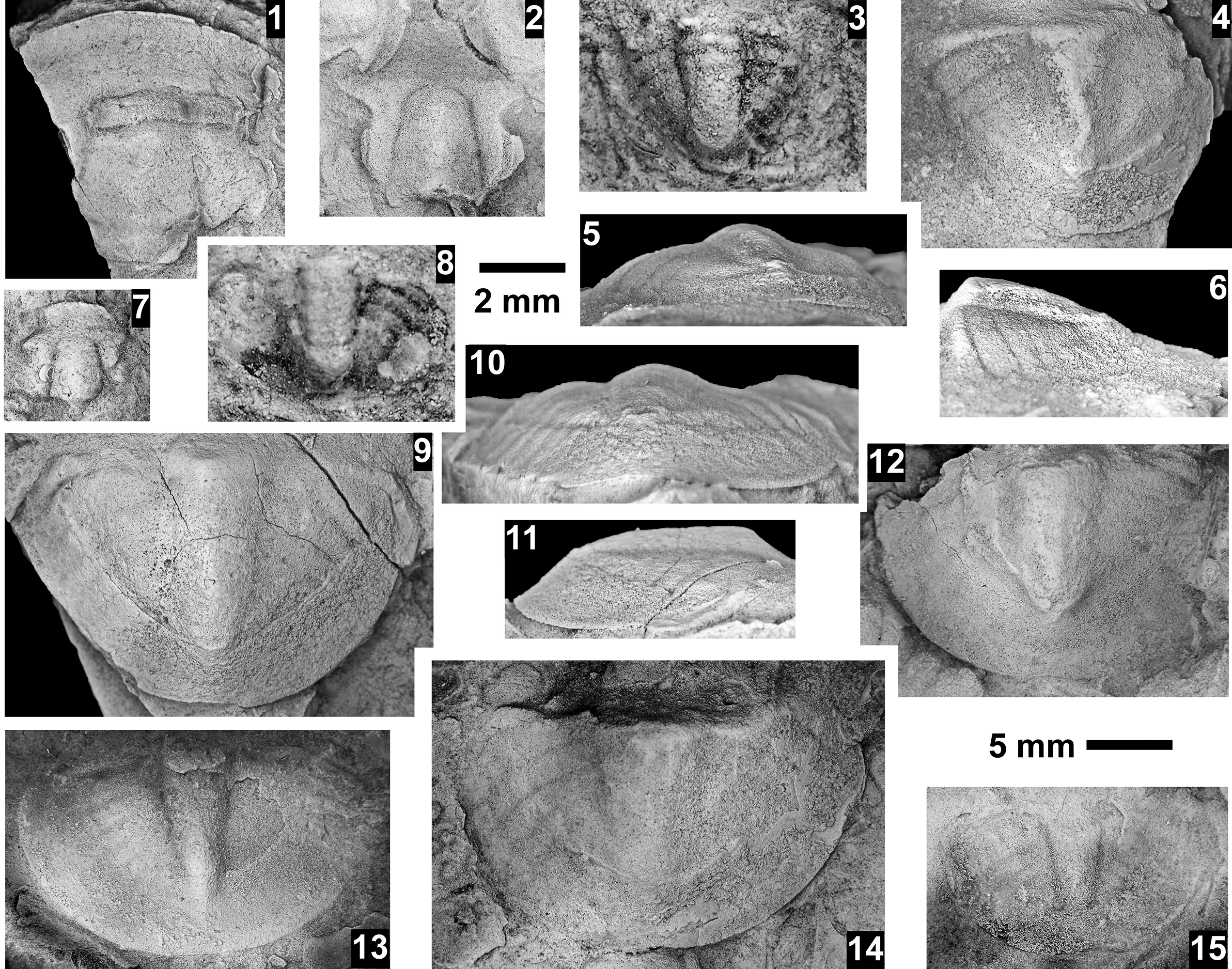 Figure 77