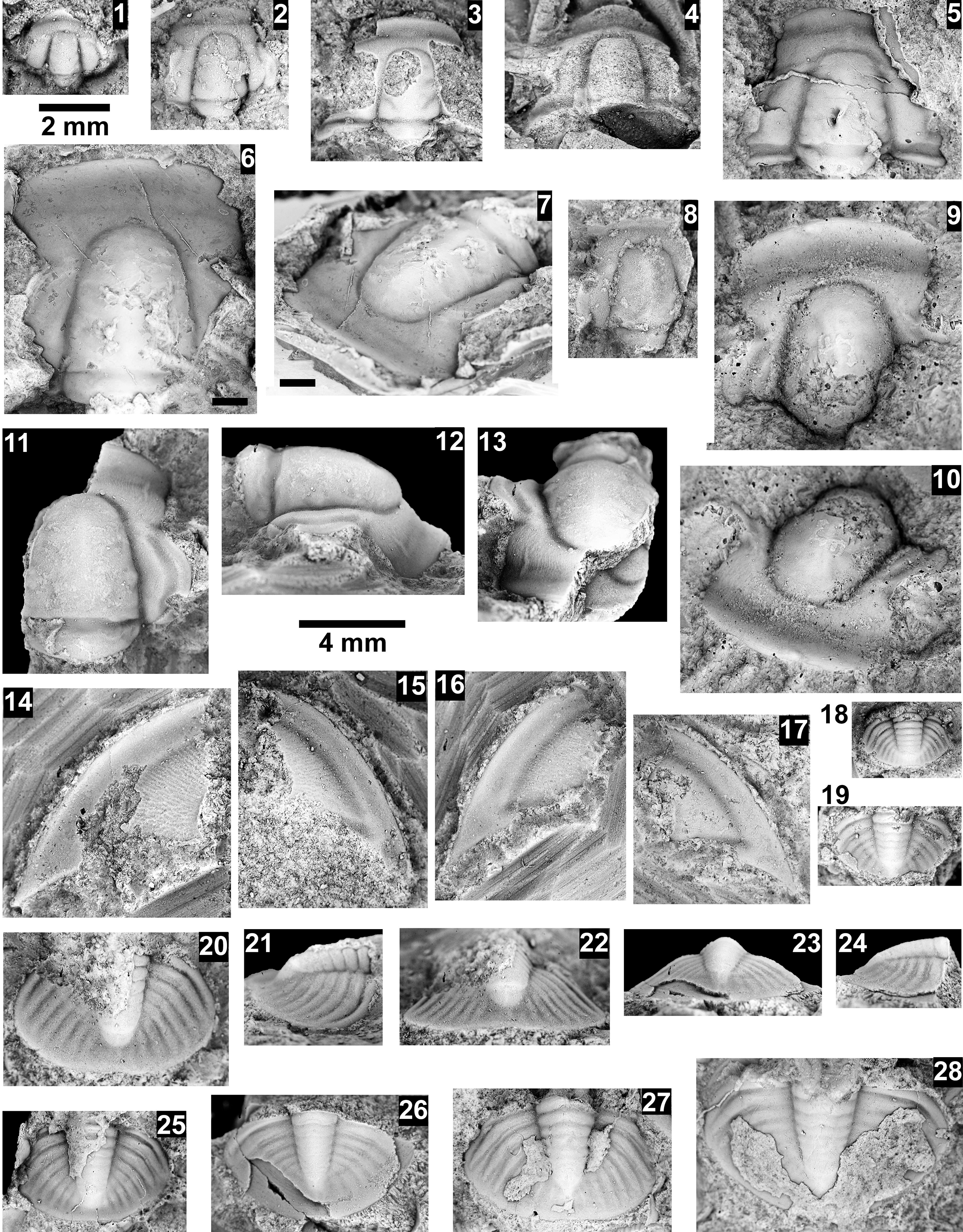 Figure 78