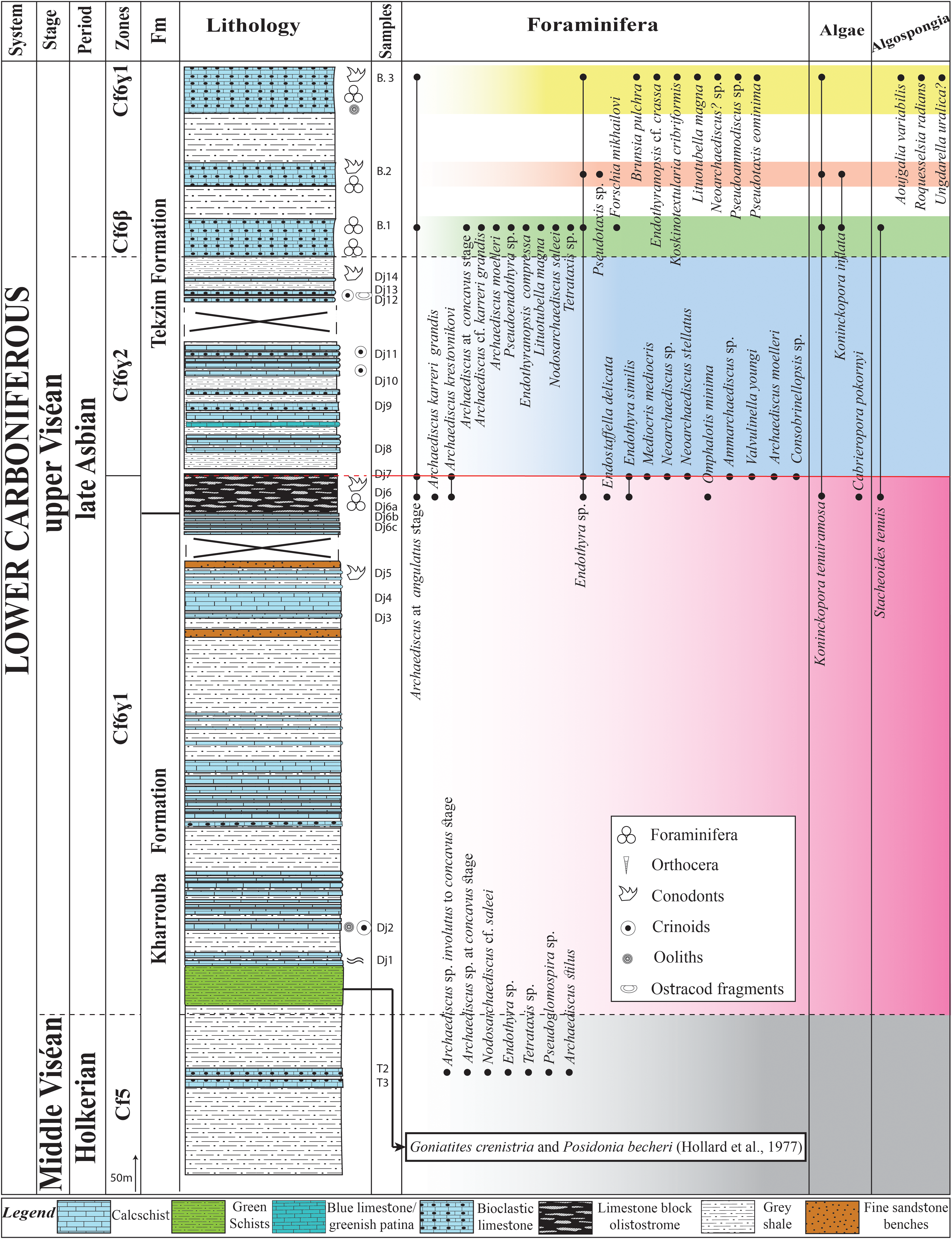 A table showing the stratigraphic log of Dar Jaiet-Jebel Tekzim with foraminifera, algae, and algospongia distribution.