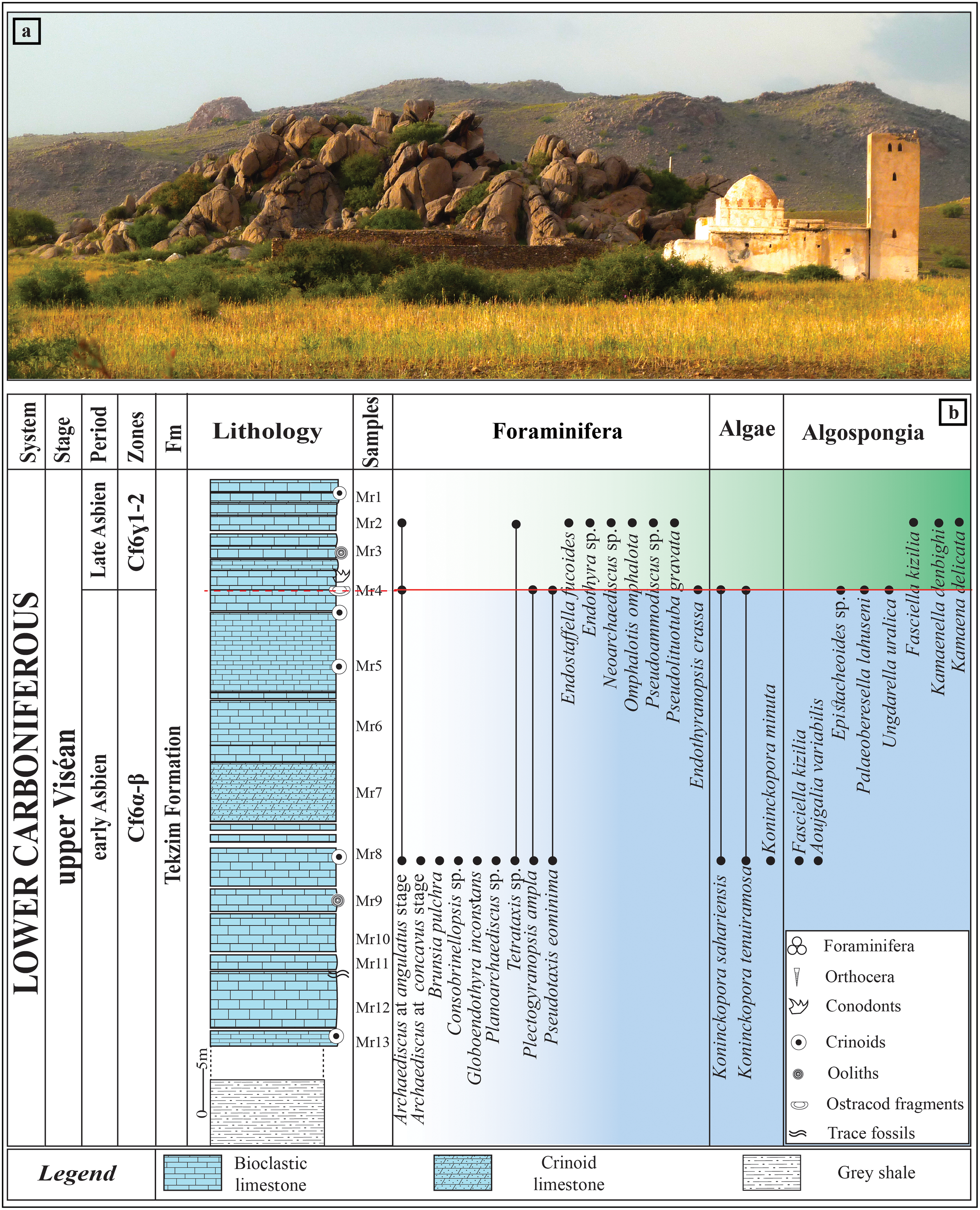 View of the outcrop of the allochthonous unit of the eastern Jebilet nappe, showing massive bioclastic limestones and stratigraphic log.