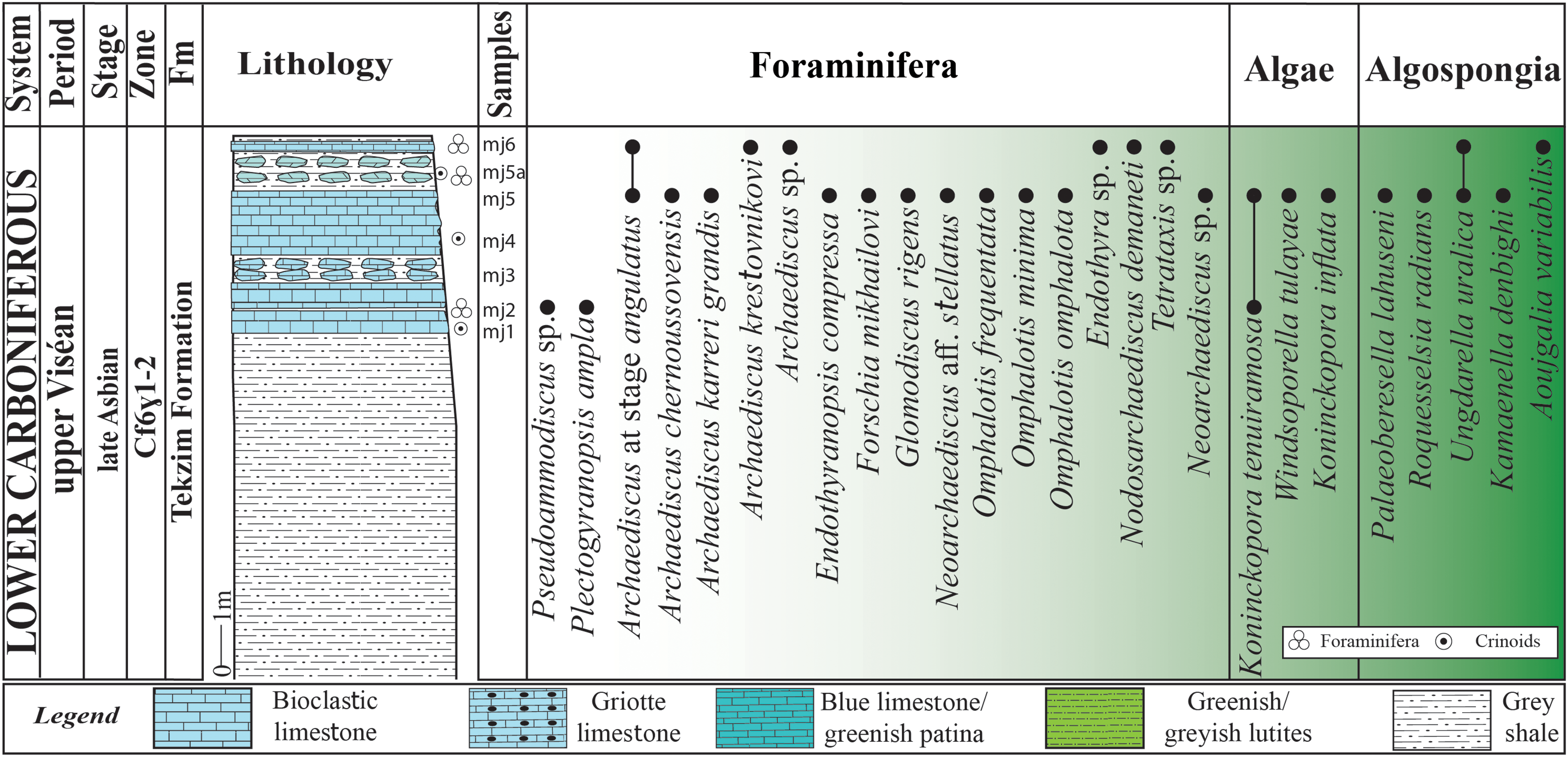 A table showing the lithology and distribution of foraminifera, algae, and algospongia in the Koudiat El Menjel section.