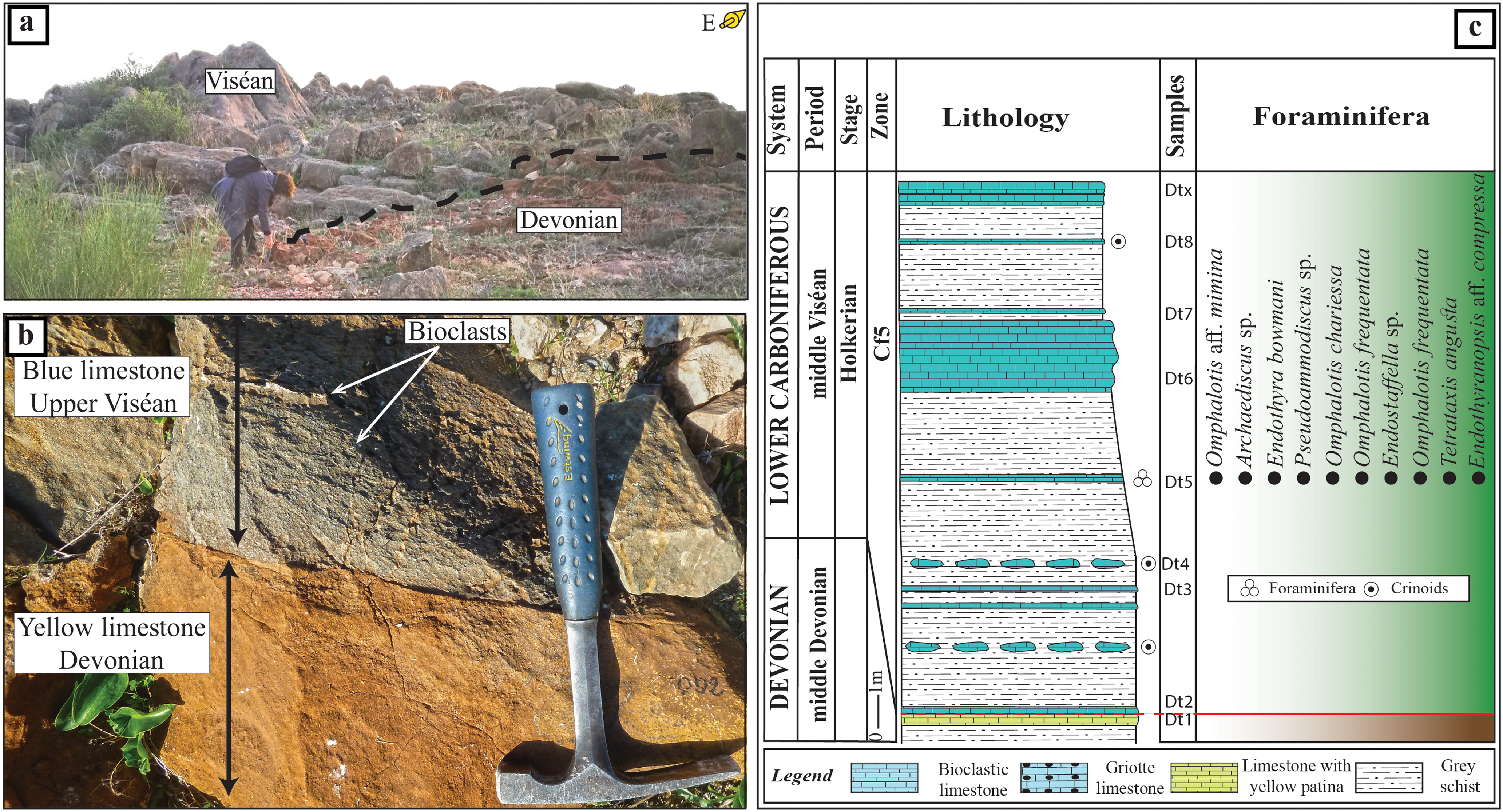 View of the Douar Tolba section showing Devonian outcrops and Viséan limestones.