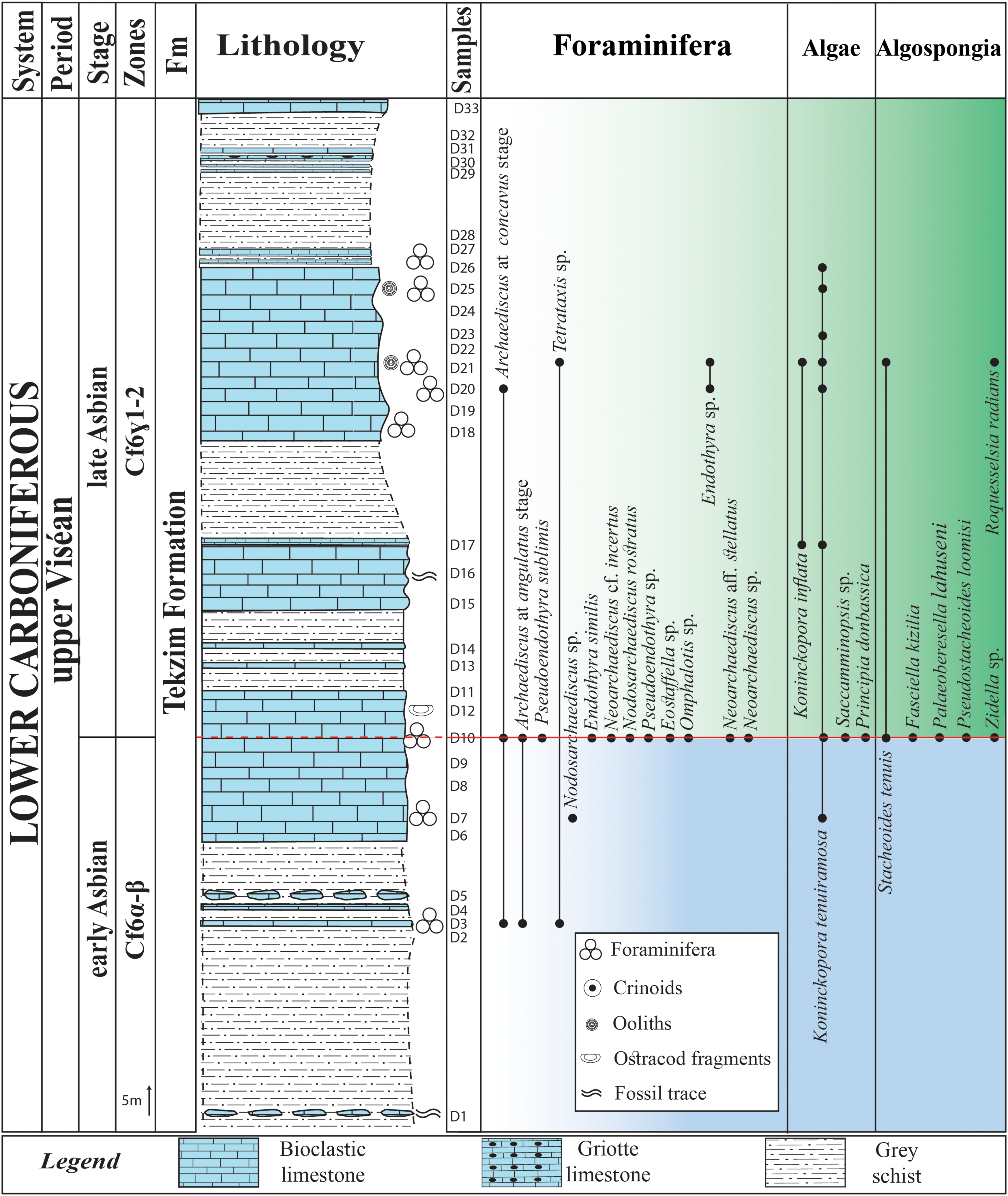 A table showing the stratigraphic log and distribution of foraminifera, algae, and algospongia in the Douar Fokra section.